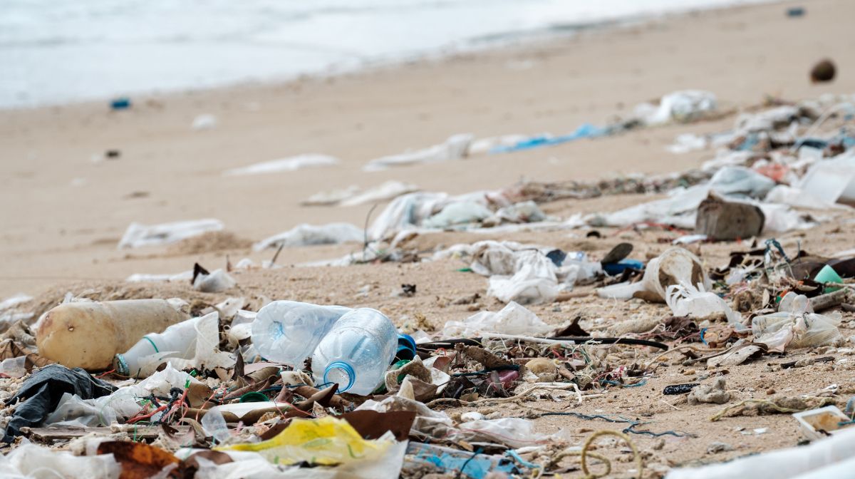 solid waste washed up on a beach