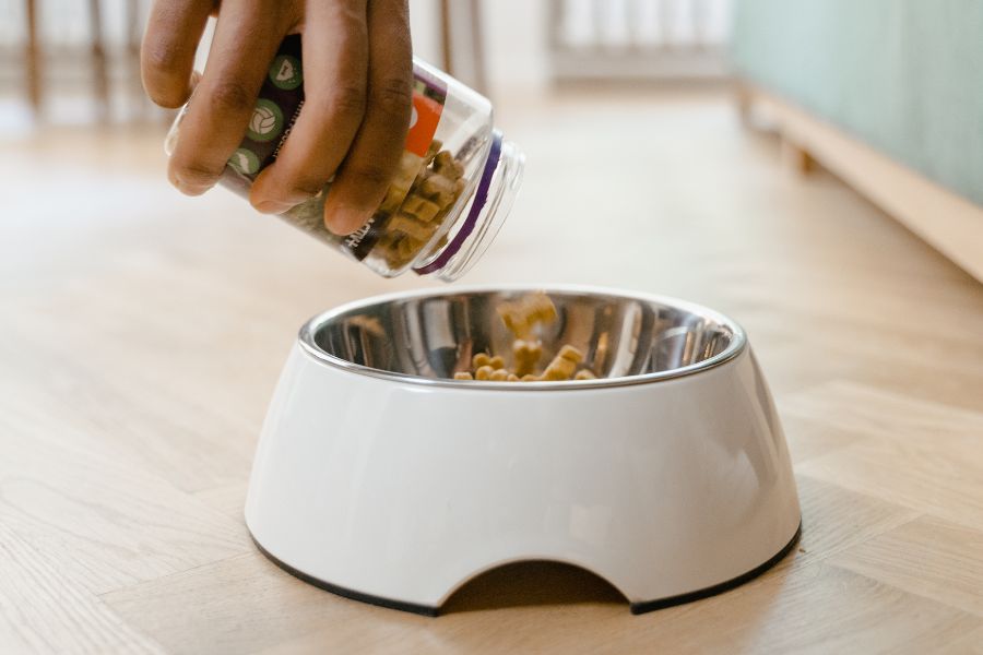 dog treats being poured into dog bowl