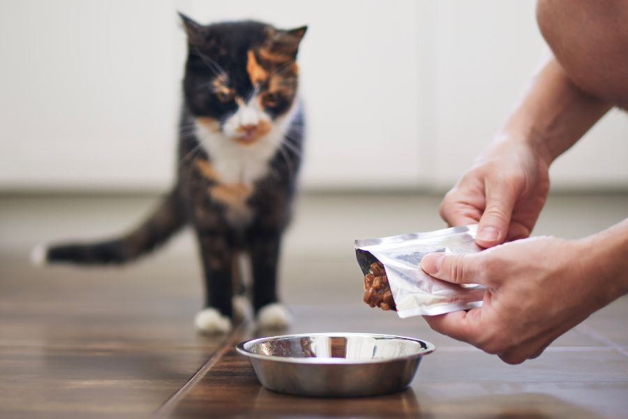 flexible cat food packaging with barrier protection